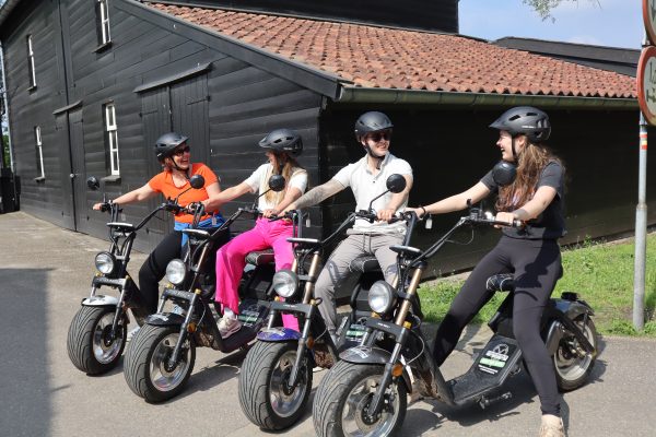 E-chopper tour - Image 4