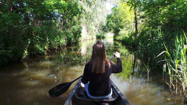 kanovaren op de dommel nieuws kano